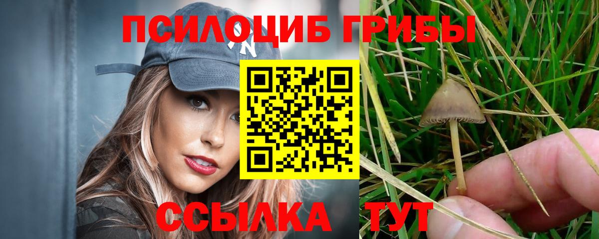 Галлюциногенные грибы MAGIC MUSHROOMS Вологда