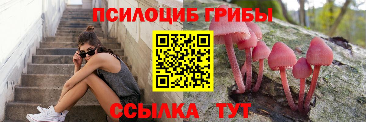Вологда  Псилоцибиновые грибы мухоморы  Вход с VPN  наркотики  Галлюциногенные грибы Psilocybe 
